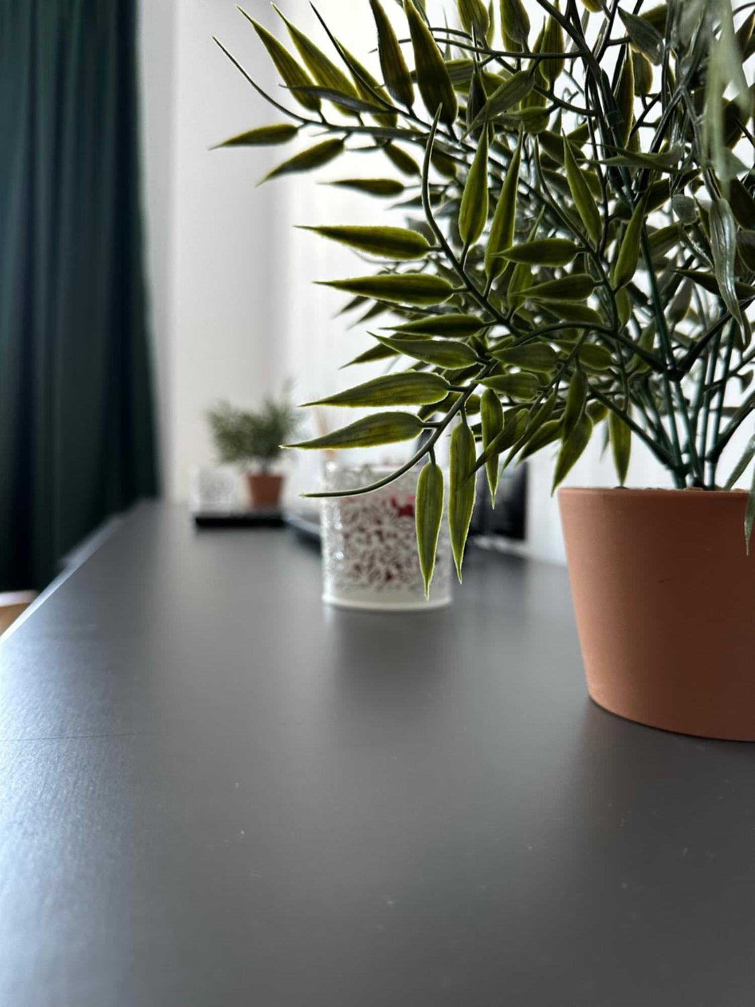 Junior Residence Studio Kolozsvár Kültér fotó
